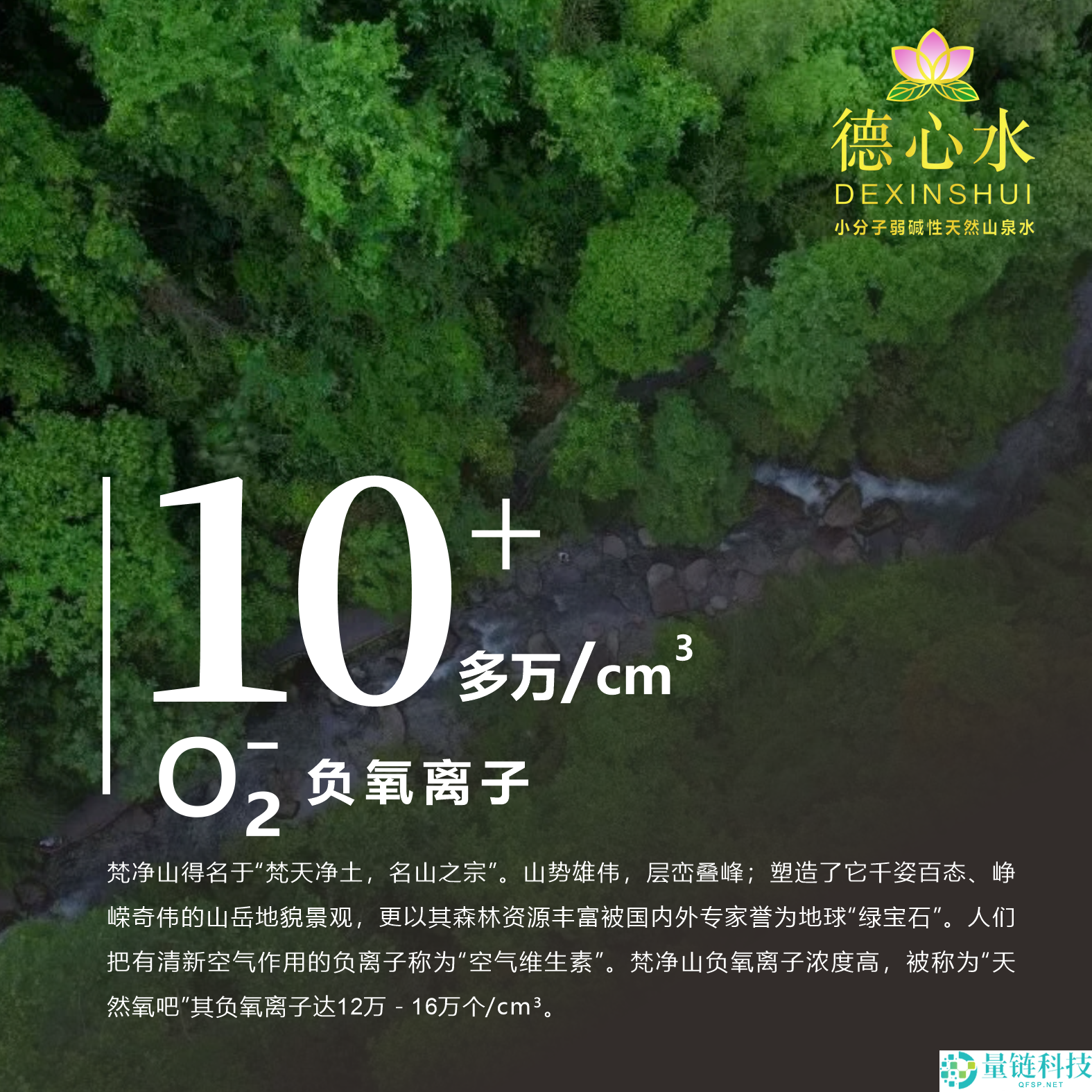 源自梵净山珍爱水源！德心水小分子弱碱性山泉水 12.9 元/12 瓶超值特惠