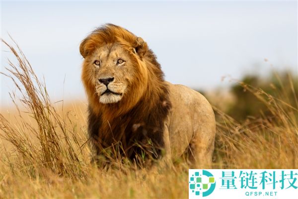 山西午时生物园奇景：全员午睡，竟无一人醒着！