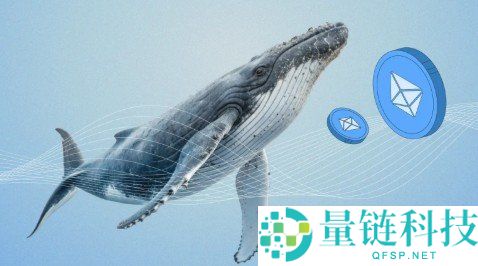 7 个最大的休眠以太坊钱包盘点：沉睡巨鲸地址全解析