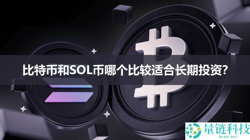 比特币还是 SOL 币？2024 长期投资深度分析与对比