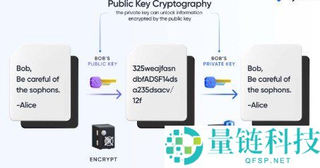 什么是加密货币自托管？2024 年顶级自托管钱包推荐与安全指南