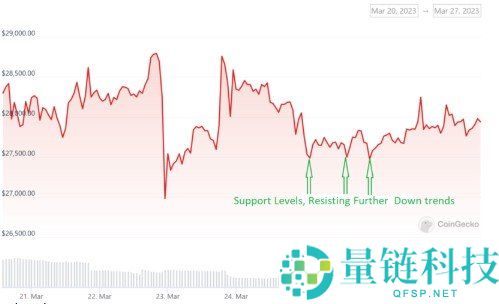 如何阅读加密货币图表：新手必看的 K 线与技术分析入门指南