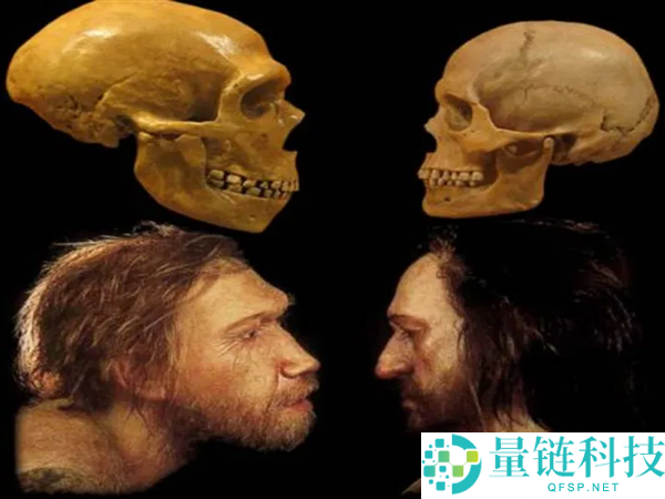 初级生命体是否会将人类视为宠物或食物？