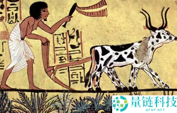 初级生命体是否会将人类视为宠物或食物？