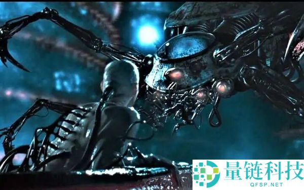 初级生命体是否会将人类视为宠物或食物？