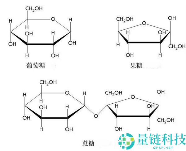 果葡糖浆被全网指责？真相揭晓，比窦娥还冤的内幕分析！