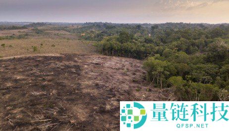 再生金融（ReFi）入门指南：区块链如何推动可持续金融服务地球与社区