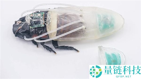 全球首套甲潜水服问世：最长水下救援存活3小时，专为救济场景设计