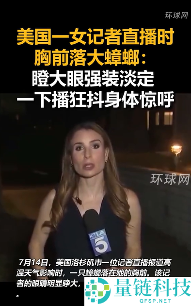 美国女记者直播中胸前掉落大甲，淡定神态引发网友惊呼