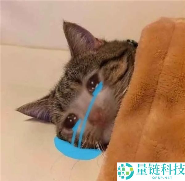 《无尽连载：作者曾经的错误与反思》
