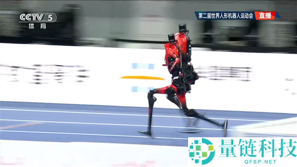 马斯克震惊！长跑明星称赞“闪电”破多项人类纪录