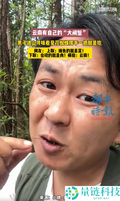 云南男人生吃“花蜘蛛”：独特滋味竟如蟹黄，野外美食惊艳揭秘