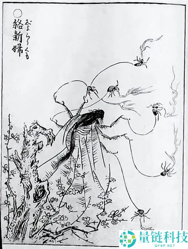 云南男人生吃“花蜘蛛”：独特滋味竟如蟹黄，野外美食惊艳揭秘