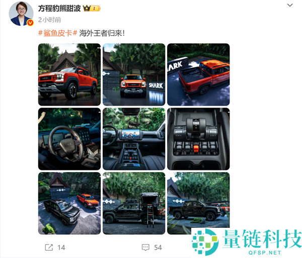 比亚迪沙鱼皮卡官图发布，海外热销车型预计四季度回国上市