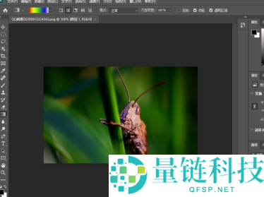 photoshop2020如何新建图层？photoshop2020新建图层的方法