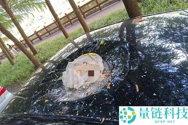 男人因泄愤从17楼抛渣滓 砸穿特斯拉Model Y天窗 后求助AI脱身策略