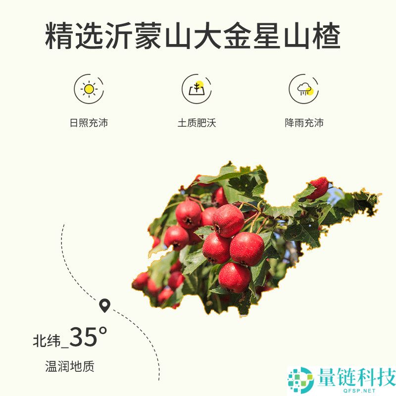 沂蒙公社山查棒棒糖500g，超值仅售17.9元，简单配料享受美味！