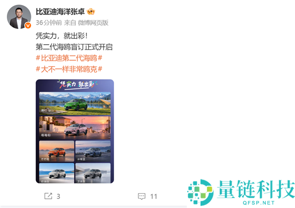 比亚迪第二代海鸥盲订开启，轴距大幅提升，年内上市在即