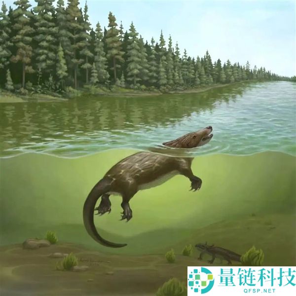 科学家发现距今1.6亿年的侏罗纪巨尾兽游泳化石